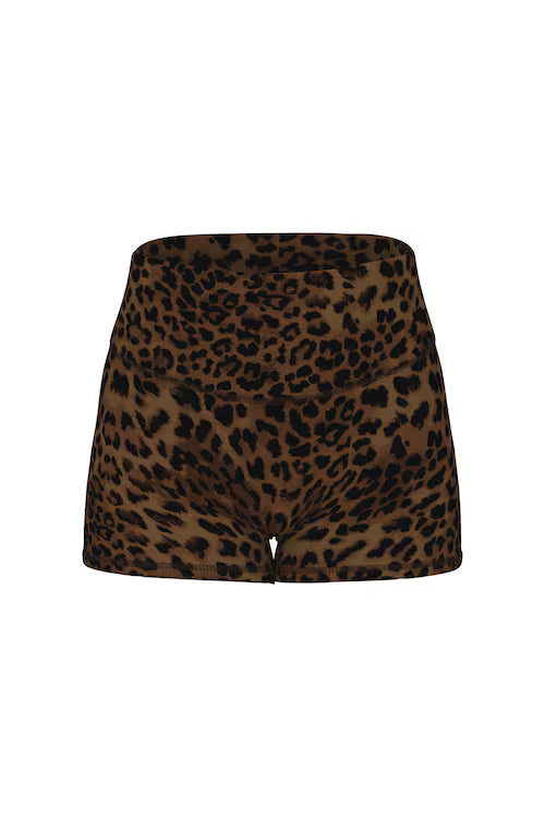 Untamed Leopard Print Collection
