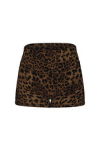 Untamed Leopard Print Collection