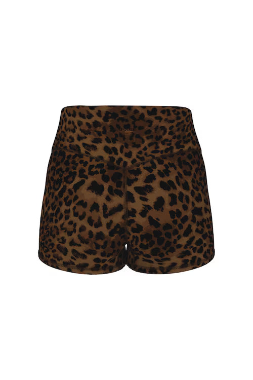 Untamed Leopard Print Collection