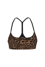 Untamed Leopard Print Collection